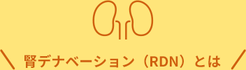 腎デナベーション（RDN）とは